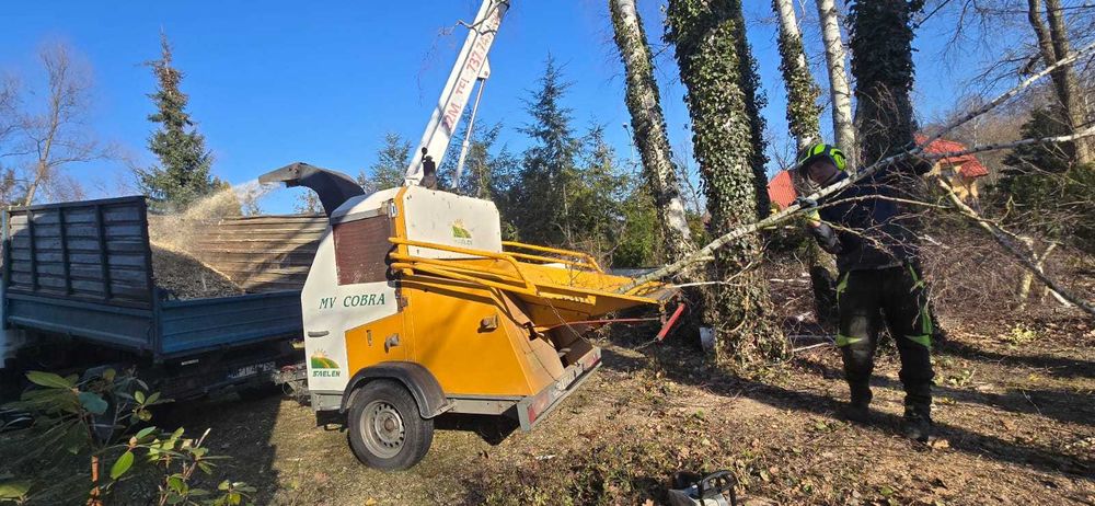 Wycinka i Pielęgnacja Drzew,Podnośnik,Rębak,Alpinistyka,Czyszczenie