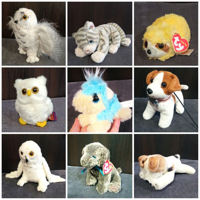 Кот, белая сова Хедвиг, собака