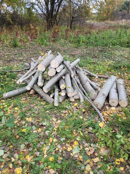 Drewno kominkowe opałowe