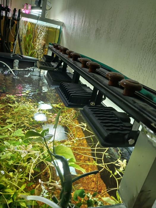 Аквариум великий на тумбі, і в тумбі ще 2 акваріума.