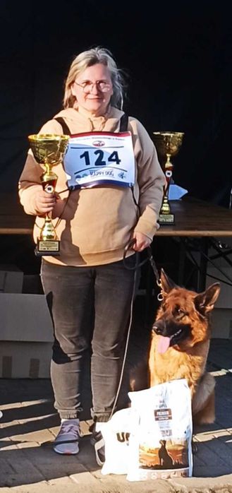 Owczarek Niemiecki szczenięta