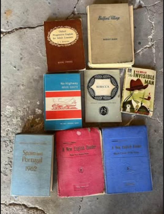 Lote de livros e revistas