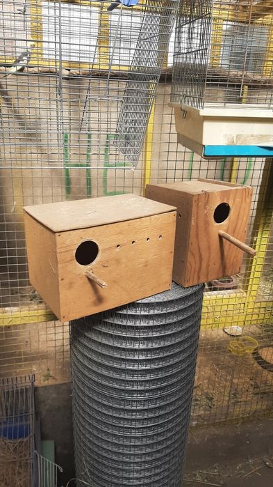 Продам гнезда  для попугаев.