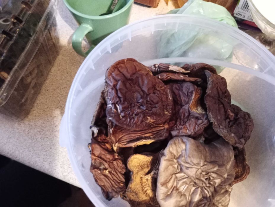 Grzyby suszone mieszanka 20 zł/100g