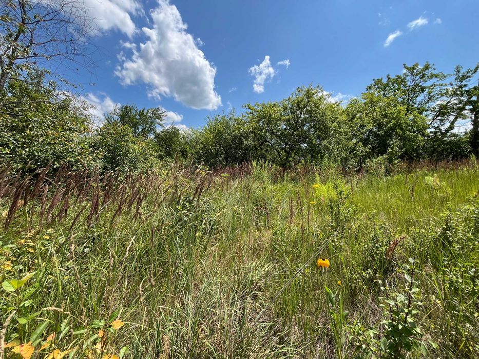 Продається дачна ділянка з будиночком у СТ "Лаванда", Березанка RD