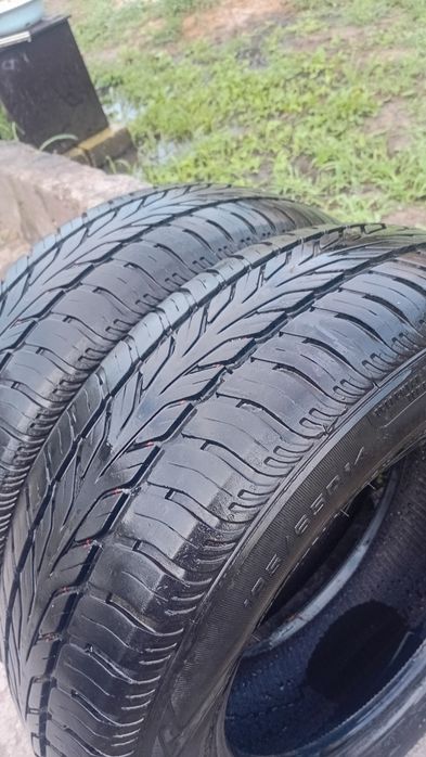 Продам шины 185/65-14
