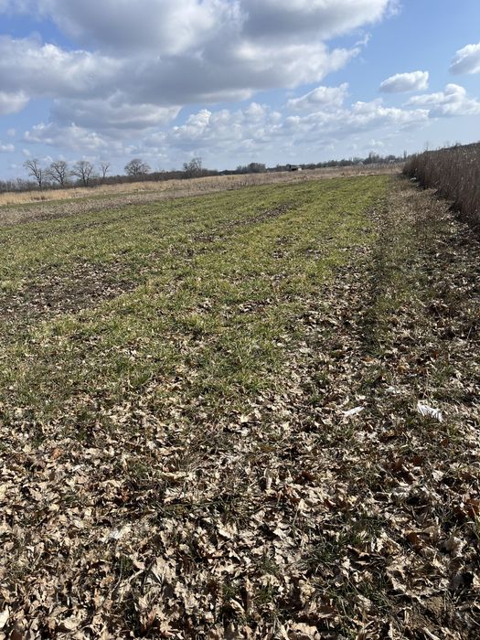 Продам земельну ділянку.