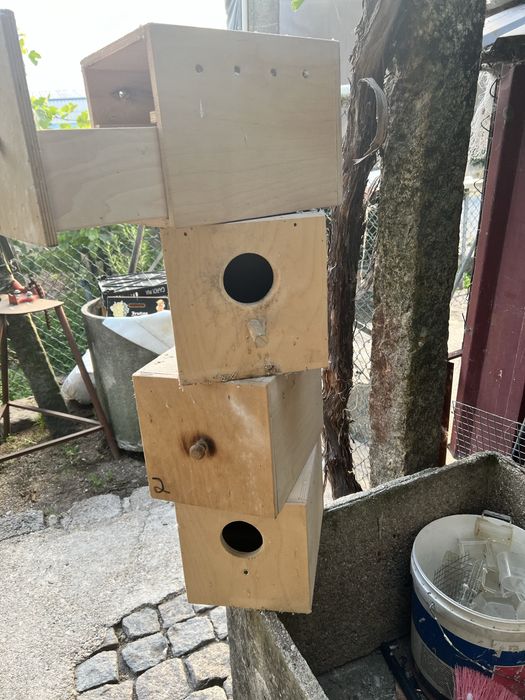 Ninhos usados em bom estado
