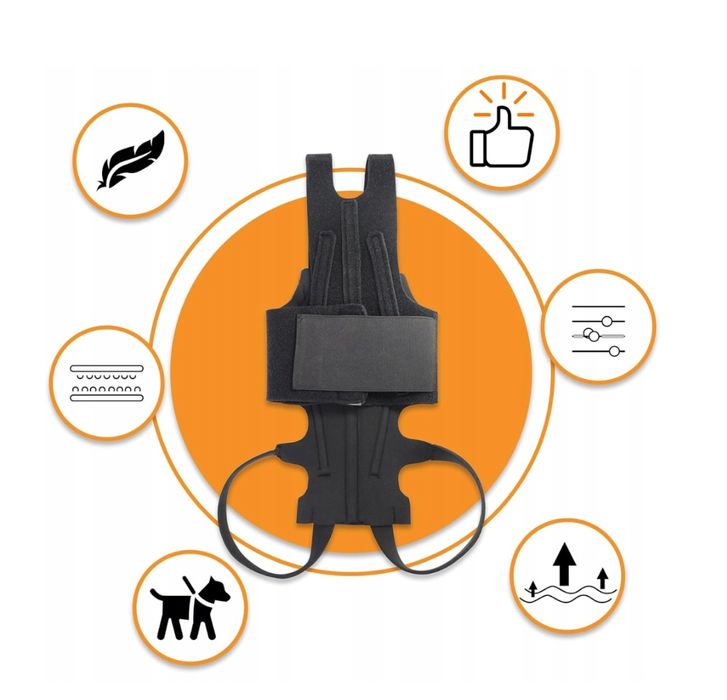 Pas Ortopedyczny Dla Psów Wsparcie Kręgosłupa Ehabilitacja Rozmiar: M