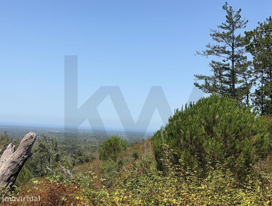 15.7-hectare Estate with Sea View and Expansion Potential | Santiago do Cacém