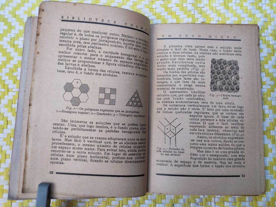 Um Povo miúdo — As Abelhas Biblioteca Cosmos