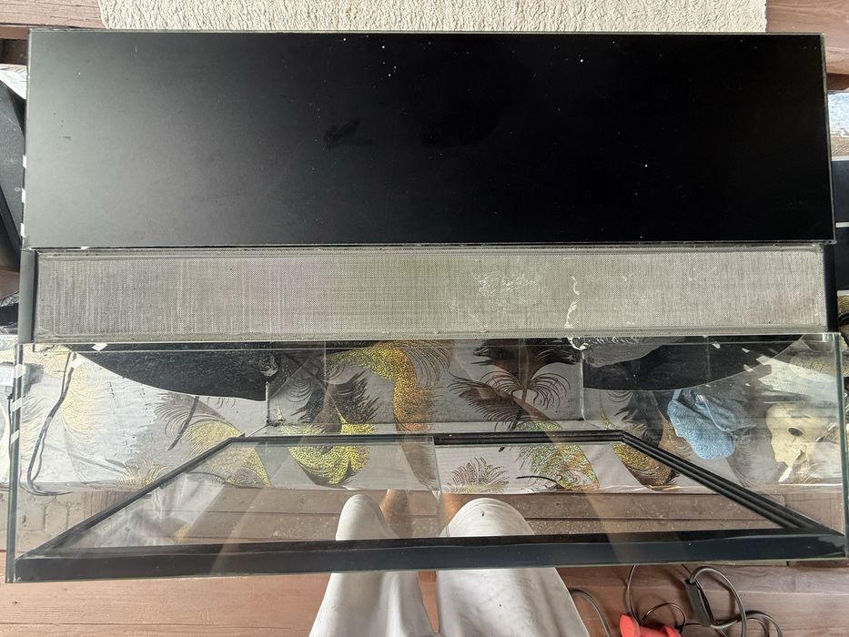 Zestaw Terarium dla gadów 60x40x40 że Ścianka