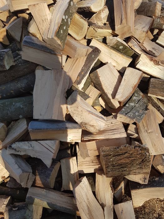 Продам дрова колоті