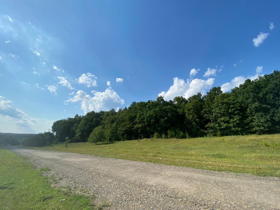 Документи готові для продажу