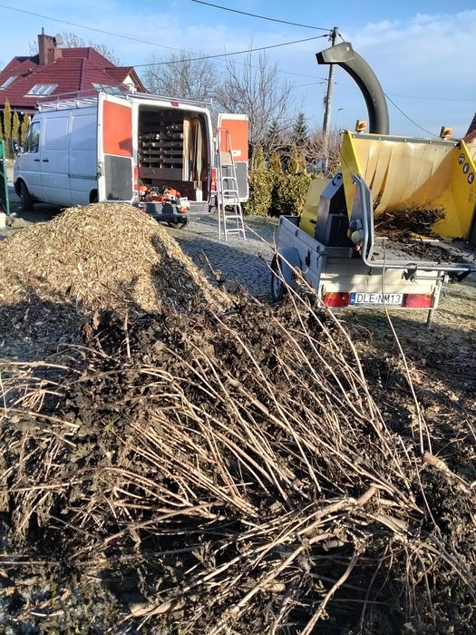 Wycinka drzew i krzewów, usługi ogrodnicze