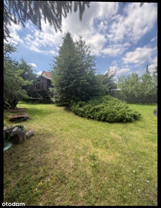 Dom – Grzybno - Widok 4