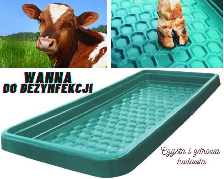 Wanna do dezynfekcji racic bydła, krów i owiec 200l