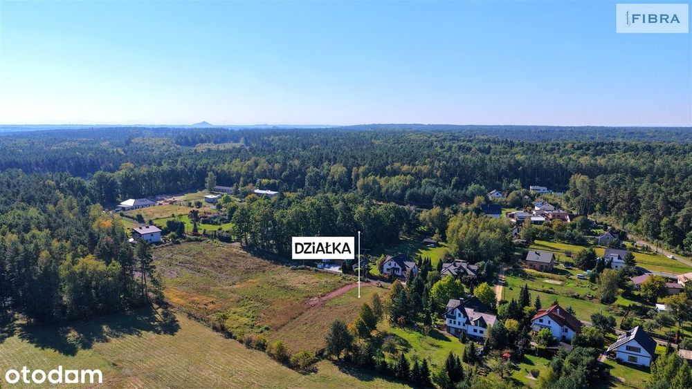 Tam, gdzie śpiewają ptaki - Widok 2