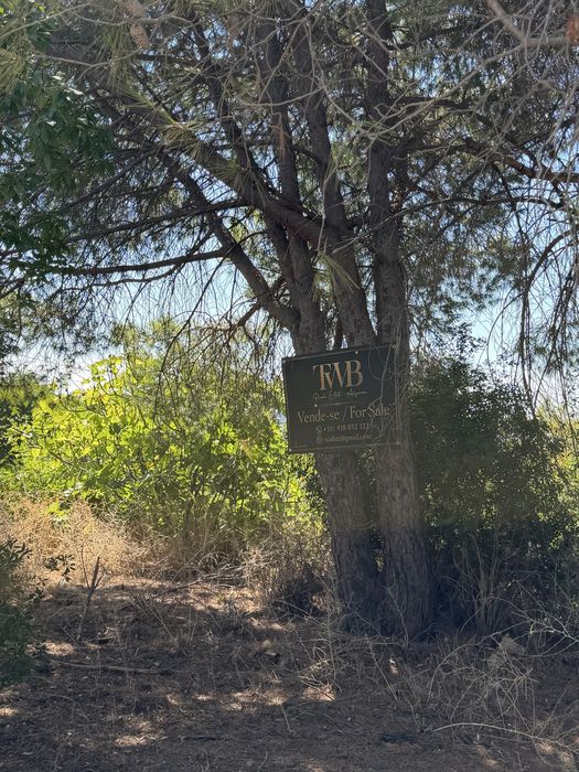 Lotes para 24 apartamentos PIP APROVADO em Santa Bárbara de Nexe