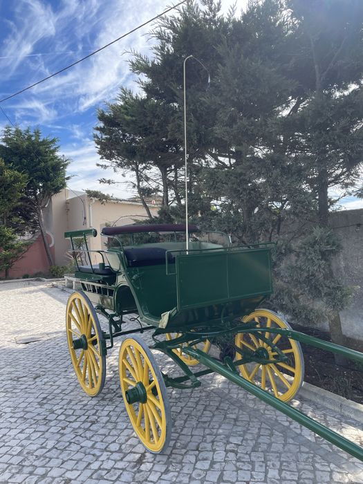 Charrete classica