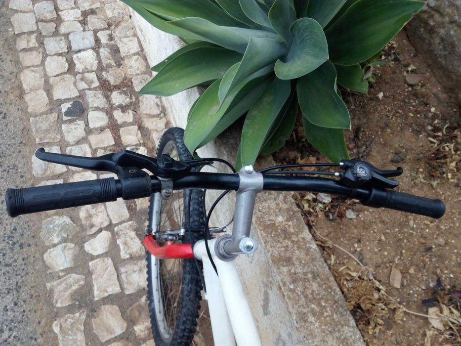 Bicicleta Normal para rolar64861386712962124