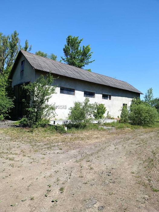 Оренда виробничо-складського комплексу на ділянці 3,3 га, с. Раневичі (Дрогобич)