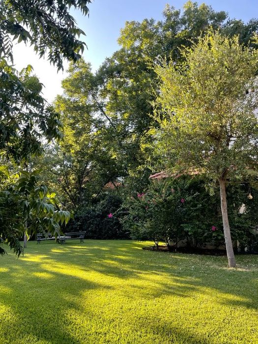 Jardinagem, Podas de arvores e Limpeza de Terrenos | Com Trator e Aplicador de Herbicida Certificado,  Porto e arredores