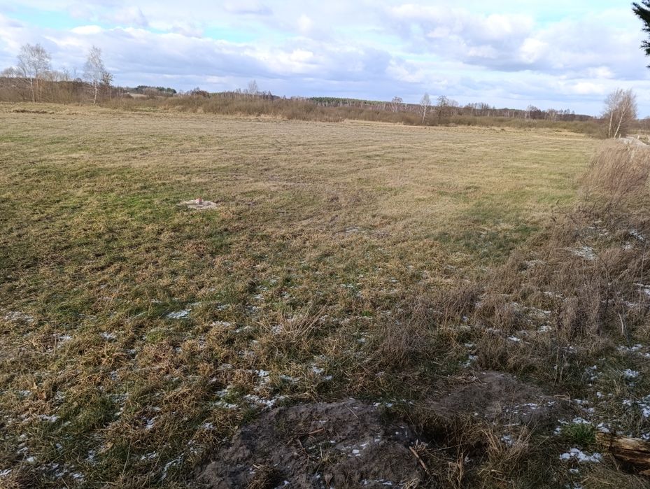 Działka Budowlana Bory Tucholskie