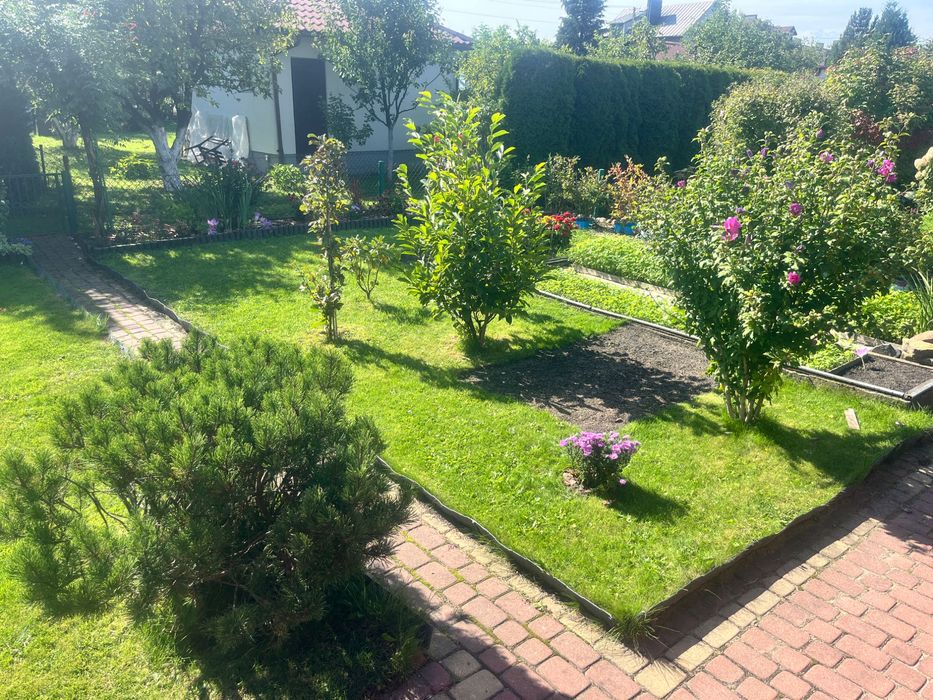 Zdjęcie 5