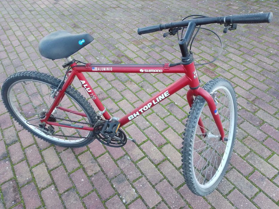 Conjunto de 2 bicicletas (possibilidade de compra em separado)