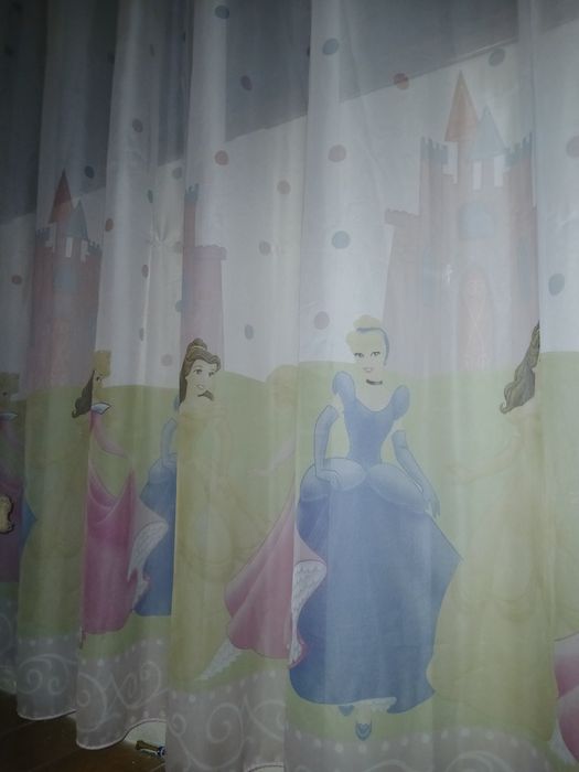 Cortina das princesas com oferta de varão rosa!!