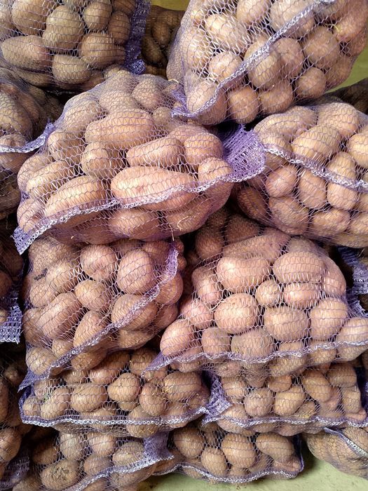 Продам картоплю.