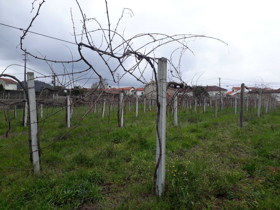 Terreno para construção