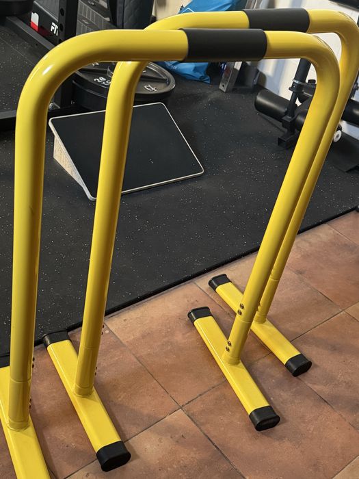 Parallel Bars for Calisthenics457924553873172480
