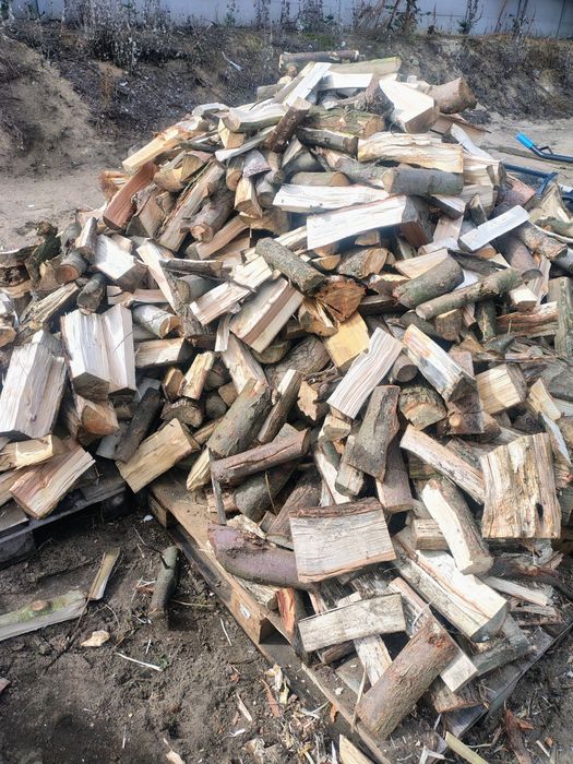 Drewno kominkowe, opałowe dąb, sosna, liściaste, klon akacja brzoza