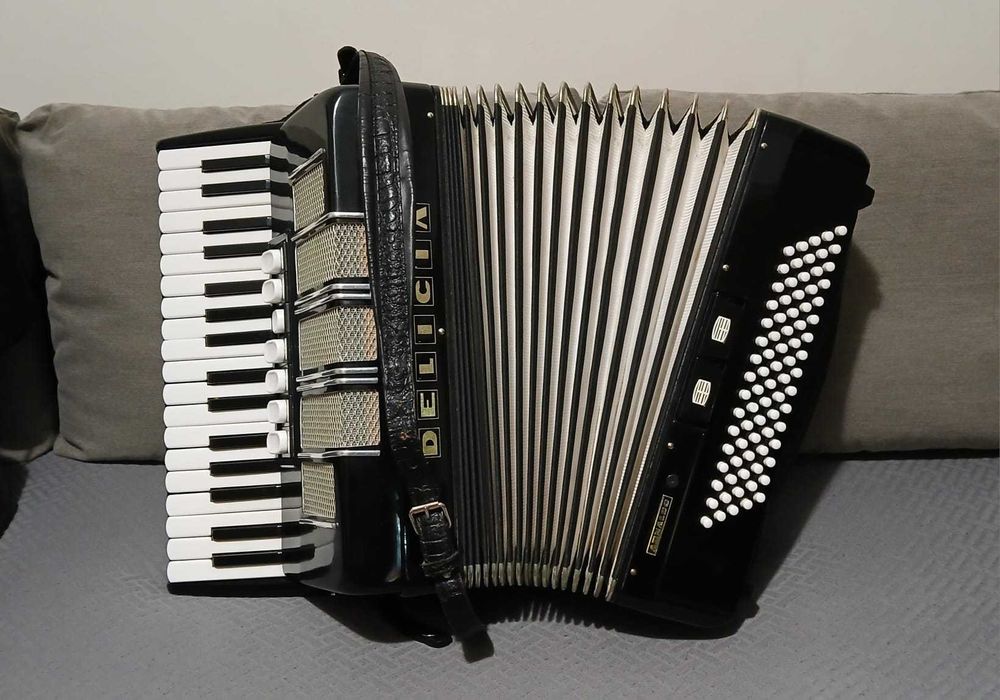 Vendo Acordeon Delicia-Arnold com mala. Usado, em bom estado.