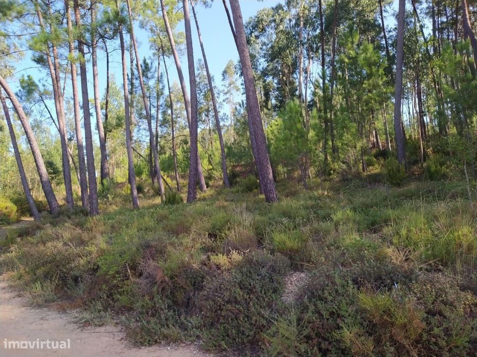 Terreno Para Construção