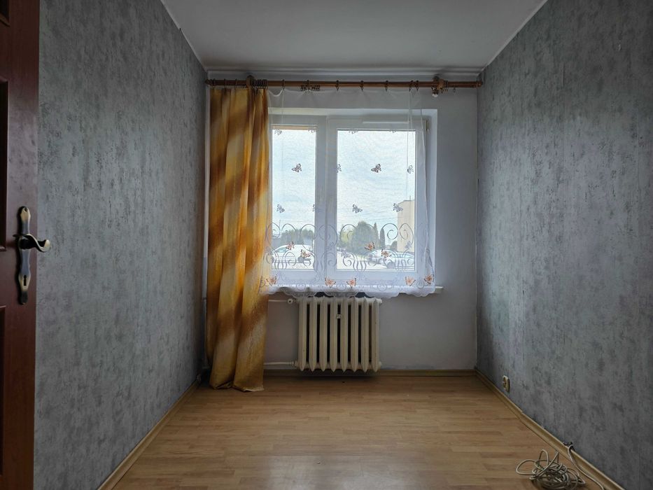 Zdjęcie 5