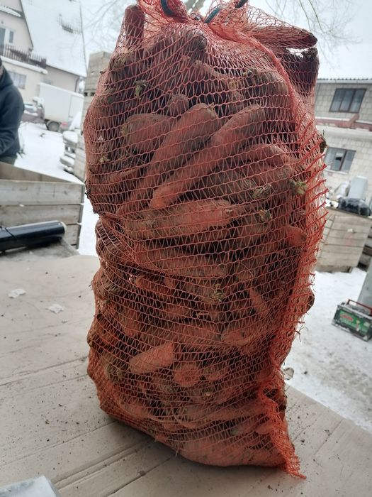 Marchew paszowa odpadową dla zwierząt od rolnika wysyłka