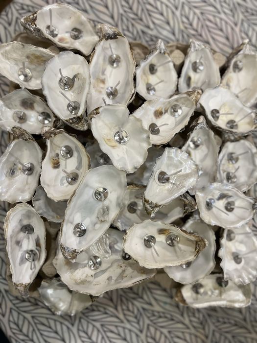 Мушлі устриць для свічок і декору