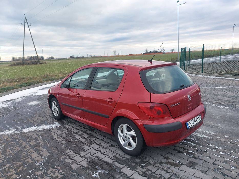 Peugeot 307 1,6 +,LPG, ekonomiczny, zadbany