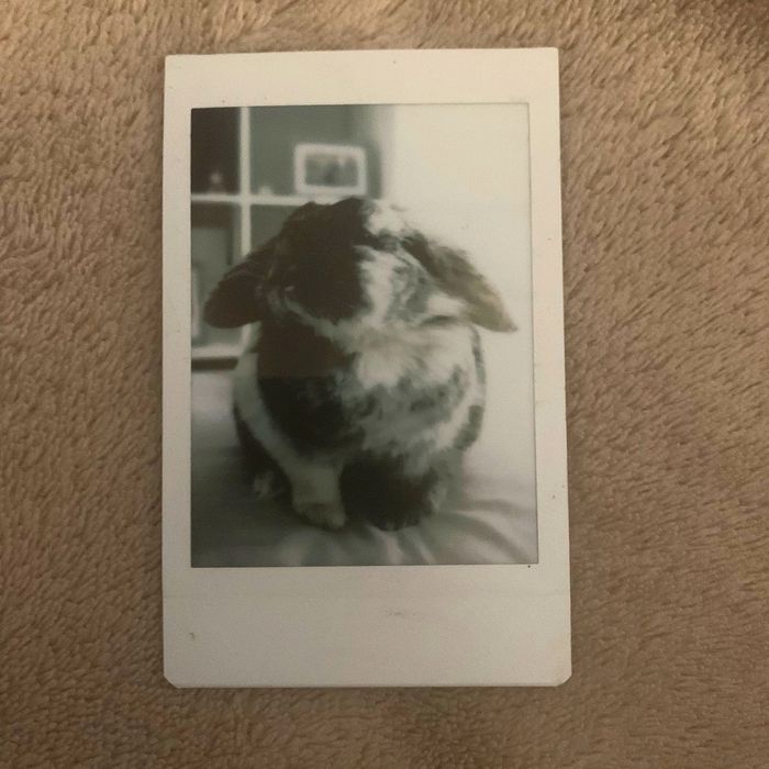 Polaroids personalizadas