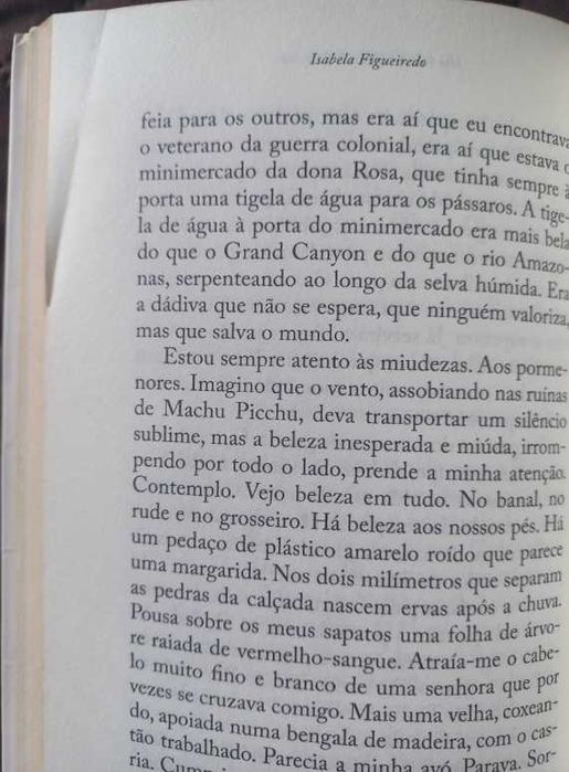 Um Cão no Meio do Caminho - Isabela Figueiredo
