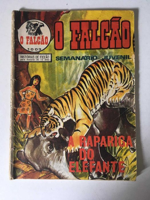 Livro - O Falcão (A Rapariga do Elefante)