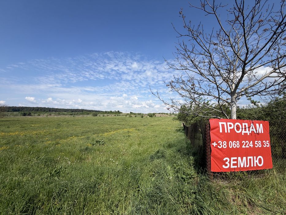 Продам Милошевичі  Пустомити 40 сотих