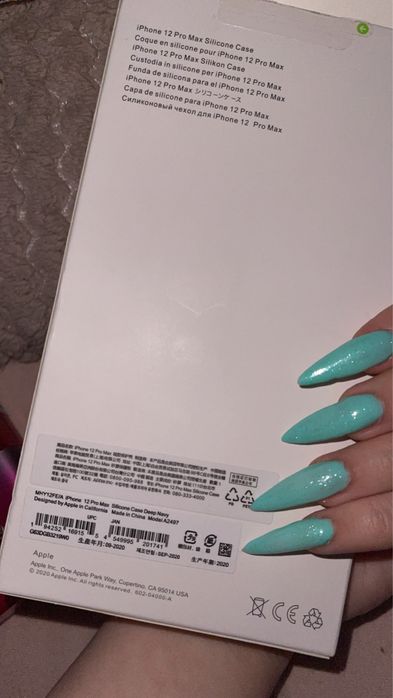 etui apple iphone 12 pro max