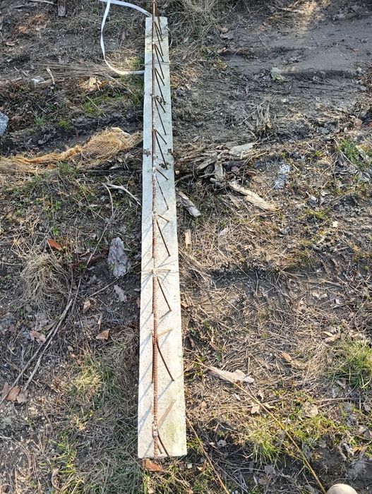 Belka stropowa teriva