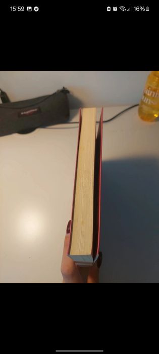 Livro diário de uma totó (livro 1)