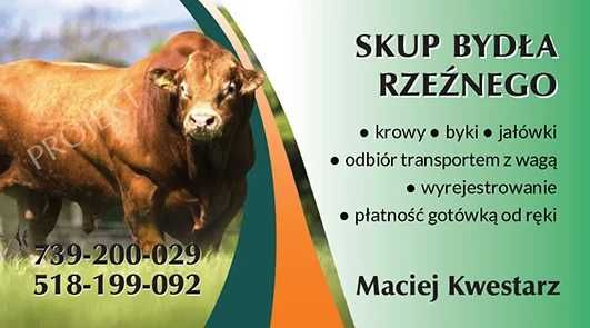 Skup Bydła Rzeźnego Jałówki,Krowy,Byki,Cielaki,Odsadki