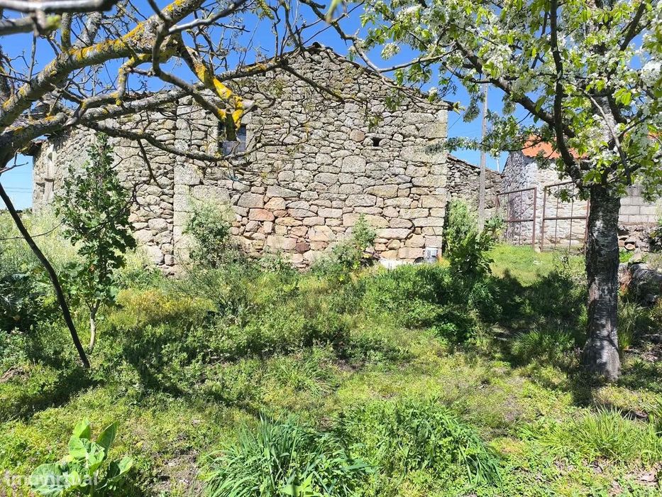Casa antiga, em pedra de granito, com terreno, poço e árvores de fruto